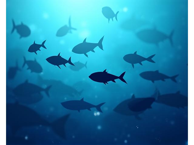 Abstrakt tapetdesign med silhuetter av fiskestimer i bevegelse.